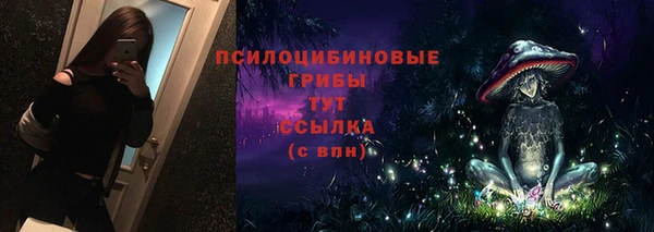 первитин Снежногорск